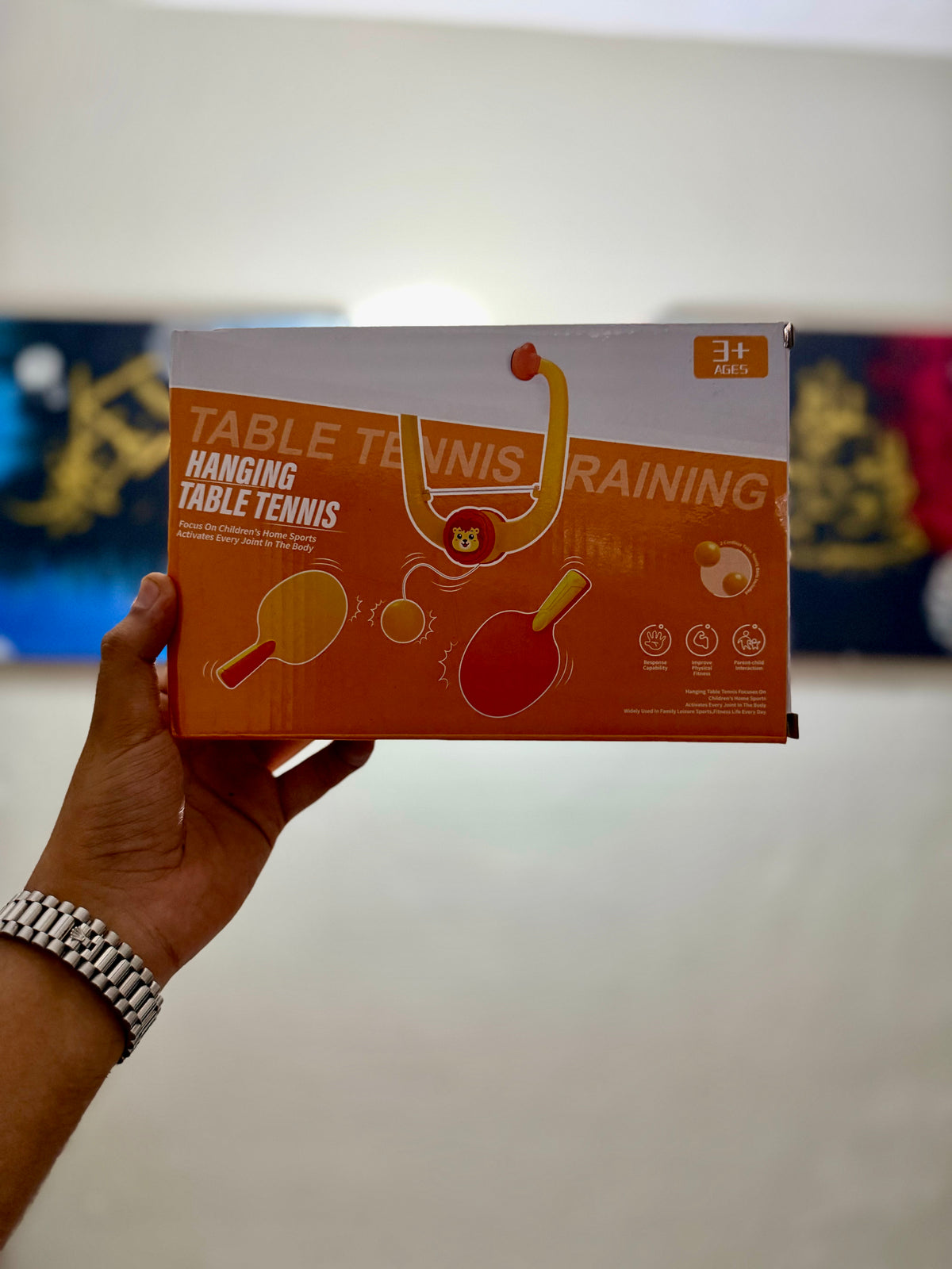 Hanging Table Tennis Portable Paddles Game- 1 & 2 player